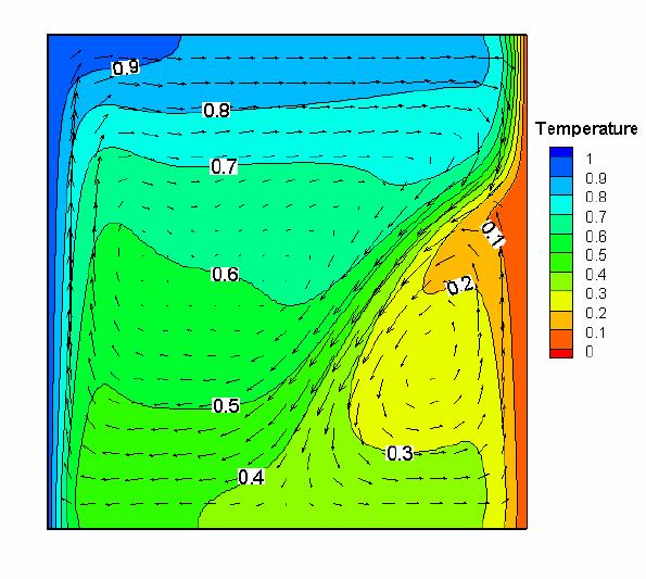 2d_natural_convection_of_water